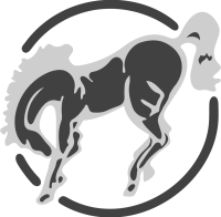 bronco_international_falls